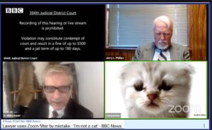 US lawyer uses cat filter by mistake